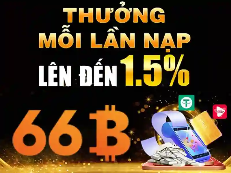 66B là gì?