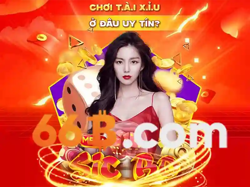 66b là gì và những điều cần biết