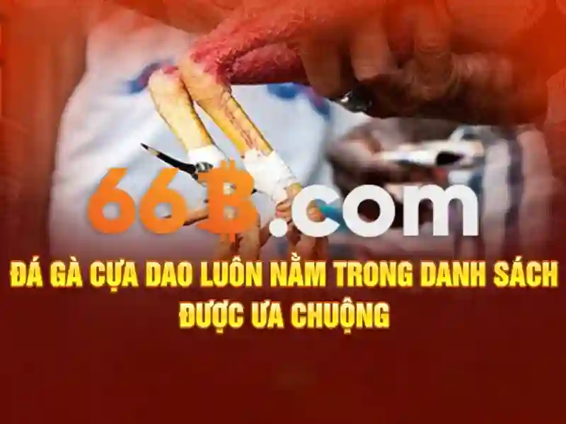 Trải nghiệm người dùng và phản hồi từ cộng đồng