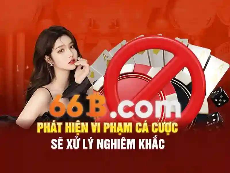 66b là gì