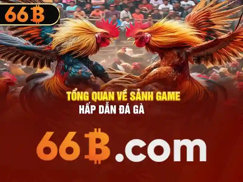 Ví dụ thực tiễn với 66b\n<h>Triển vọng tương lai của 66b</h><p><span style=