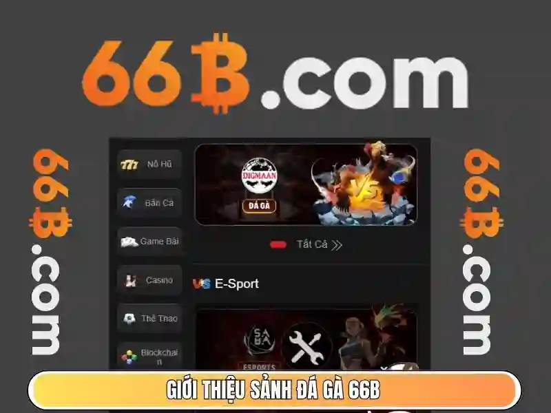 66b và những thách thức hiện đại