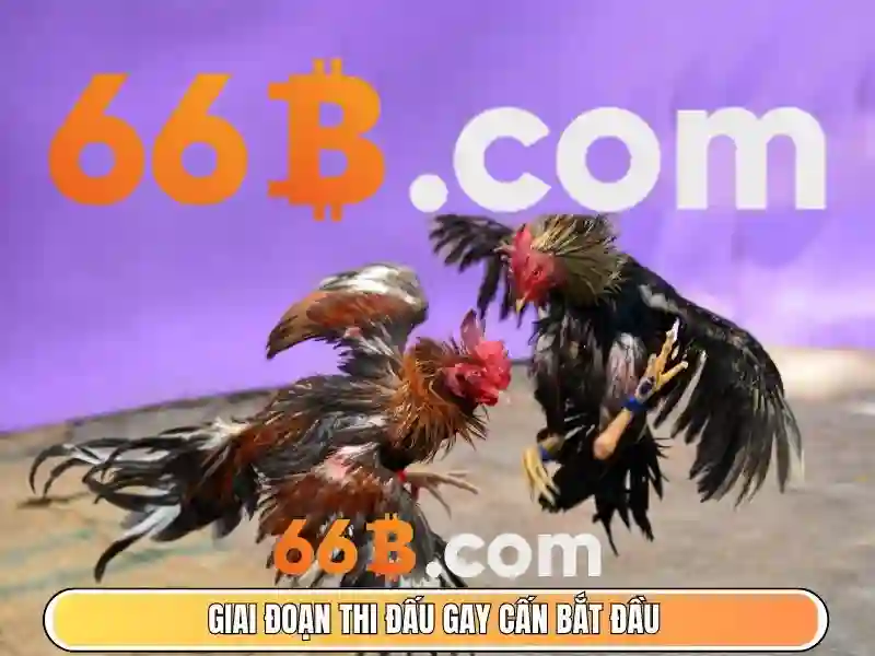 66b nguyễn sỹ sách phường 15 quận tân bình – Các sản phẩm và dịch vụ cốt lõi