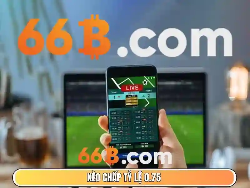 66b: một khái niệm công nghệ và mật mã
