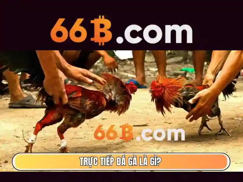 Kiến trúc cốt lõi