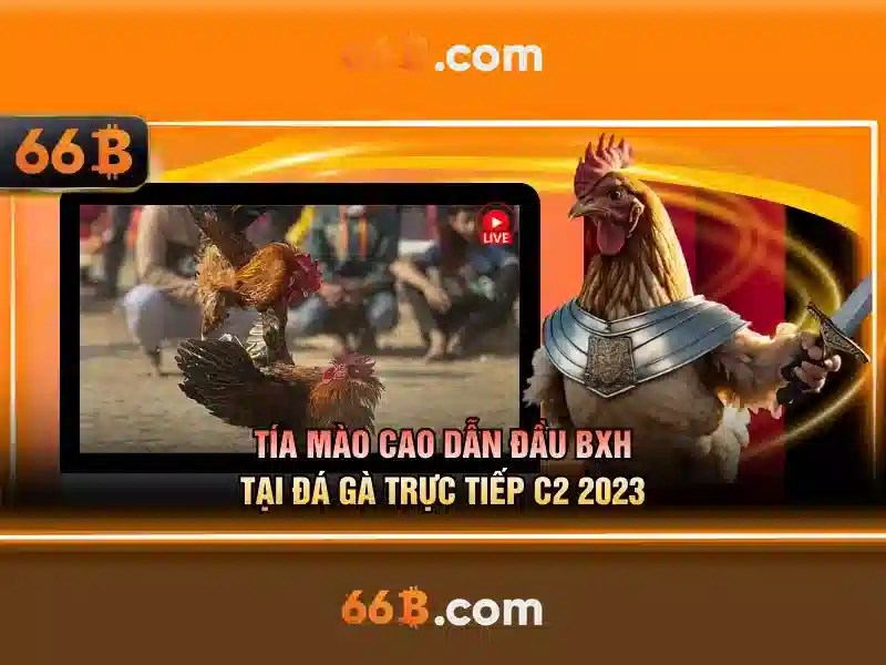 Khả năng học hỏi và fine-tuning của 66b