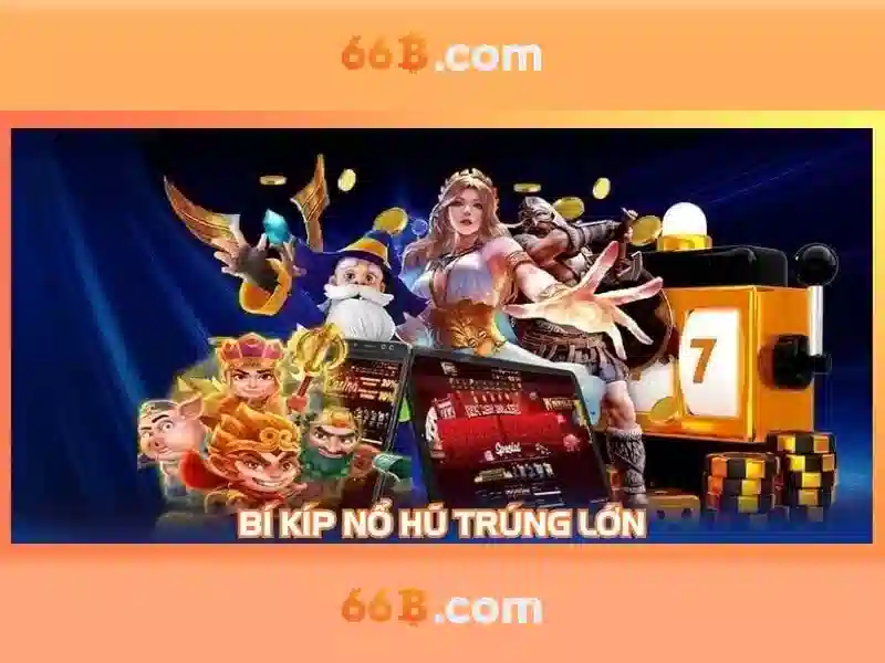 66B là gì