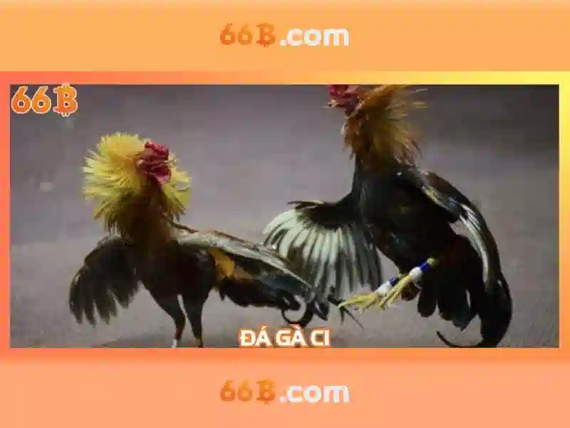 66B: Khám phá mô hình ngôn ngữ lớn 66 tỷ tham số