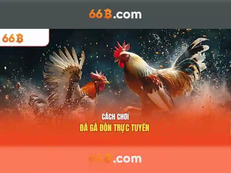 Định nghĩa và các đặc trưng nổi bật của 66b\n\n<h2 class=