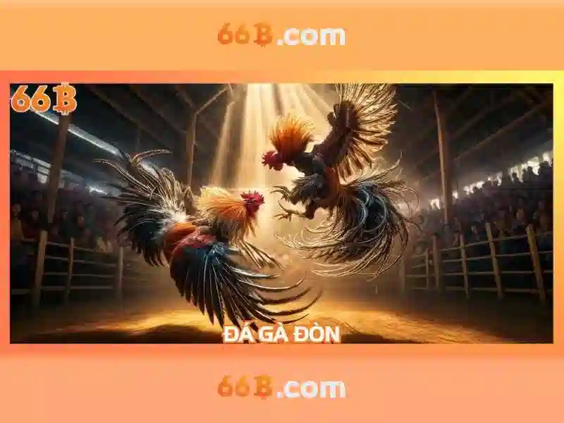 Những thách thức và giới hạn của 66b