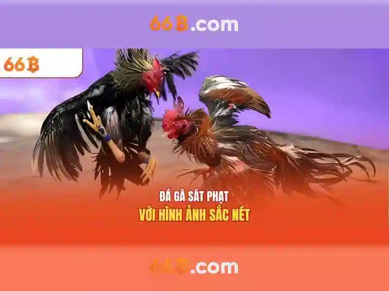 66b và tương lai của sáng tạo phi dữ liệu
