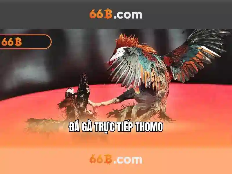 Ứng dụng hiện tại của 66B
