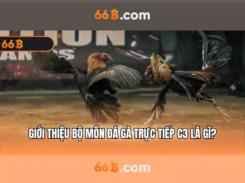 66b và tương lai của mô hình ngôn ngữ lớn