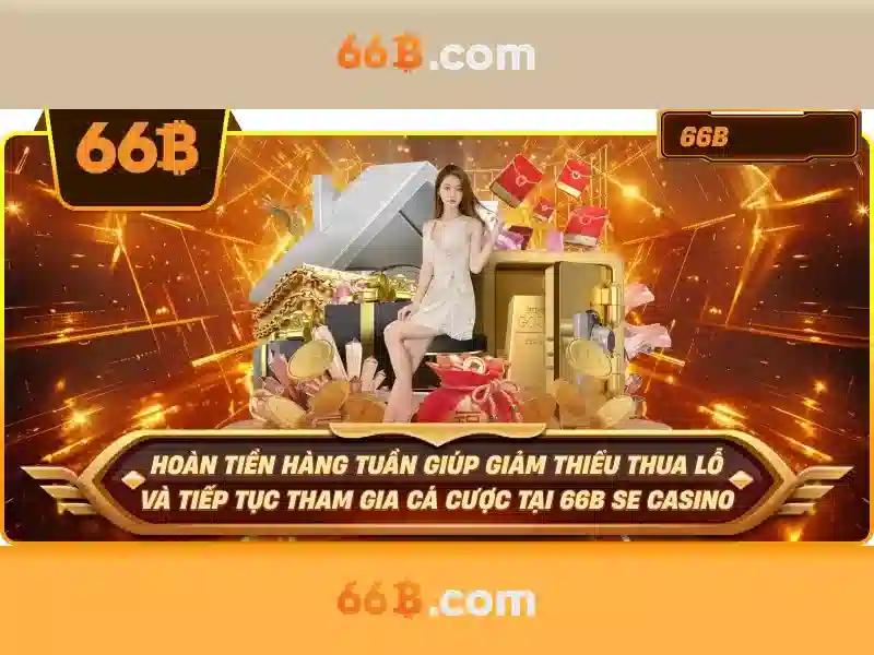 dpt20-66b – Tổng quan và giá trị cốt lõi
