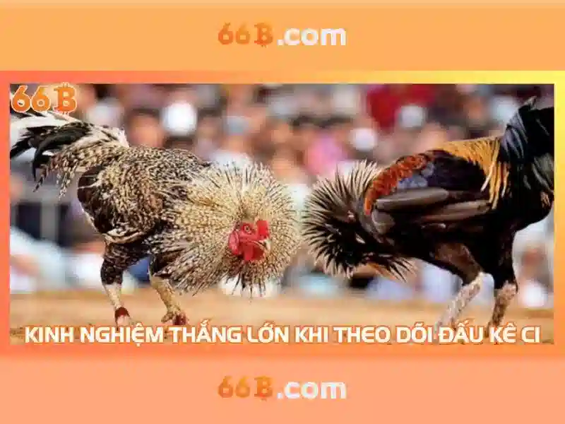 66B: Khám phá mô hình ngôn ngữ 66 tỷ tham số và tác động của nó
