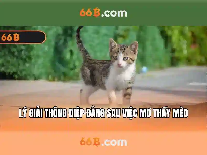66b và các mô hình ngôn ngữ lớn