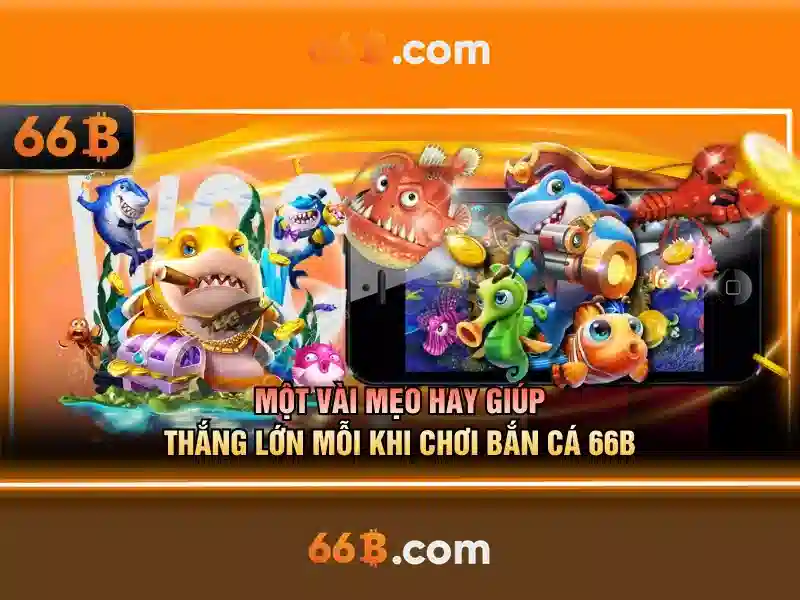 Khái quát về 66b và những tác động của nó