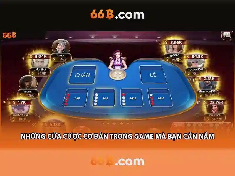 66B là gì?
