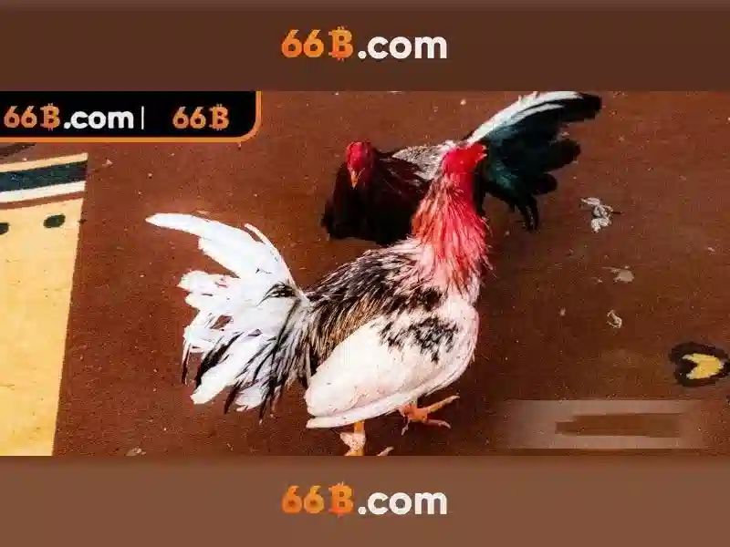 Cấu trúc và thành phần của 66b
