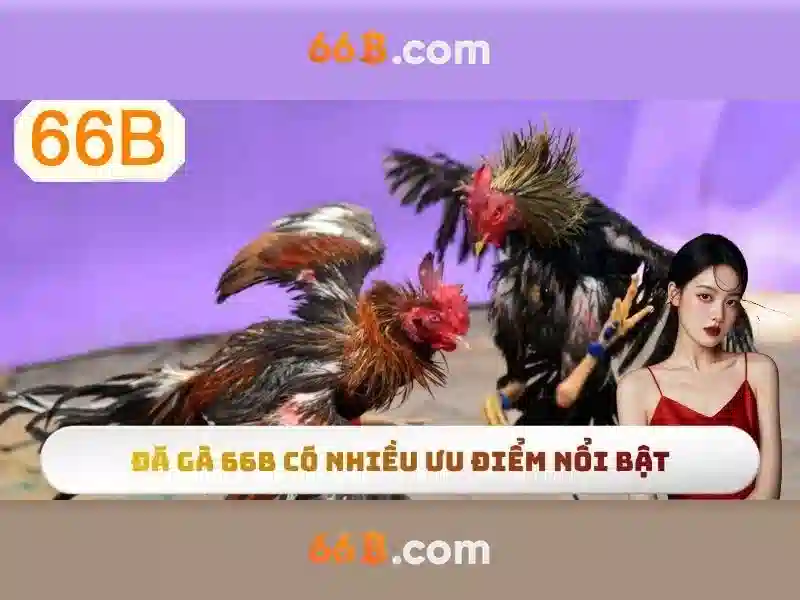 Kiến trúc và hiệu suất của 66B