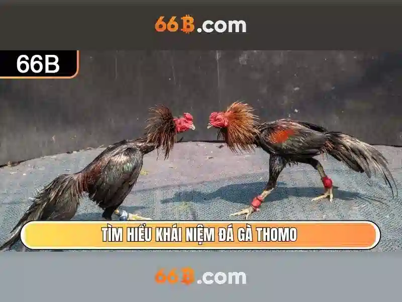 Kiến trúc và đặc điểm nổi bật