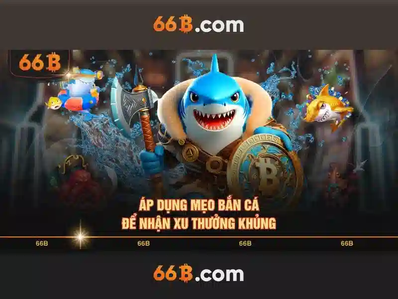 66b là gì