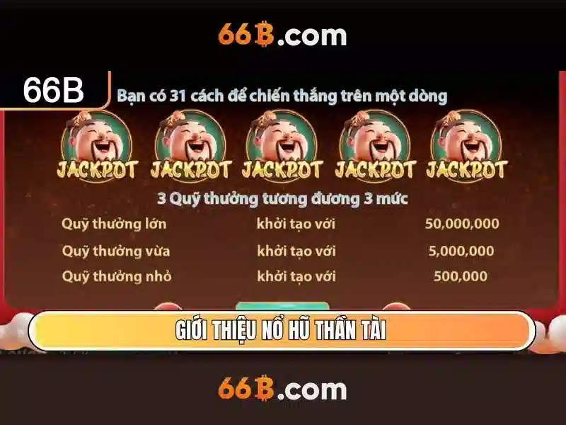 Hiệu suất và tối ưu hóa