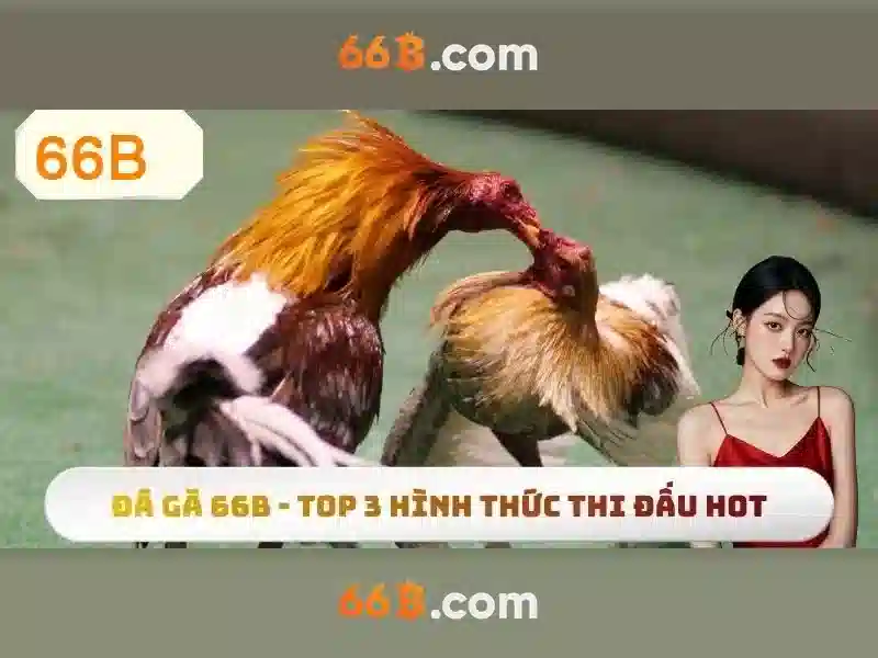 Ứng dụng của 66b