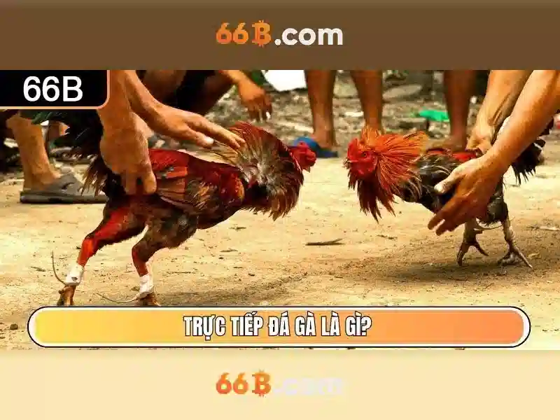 Ứng dụng của 66b trong xử lý ngôn ngữ tự nhiên