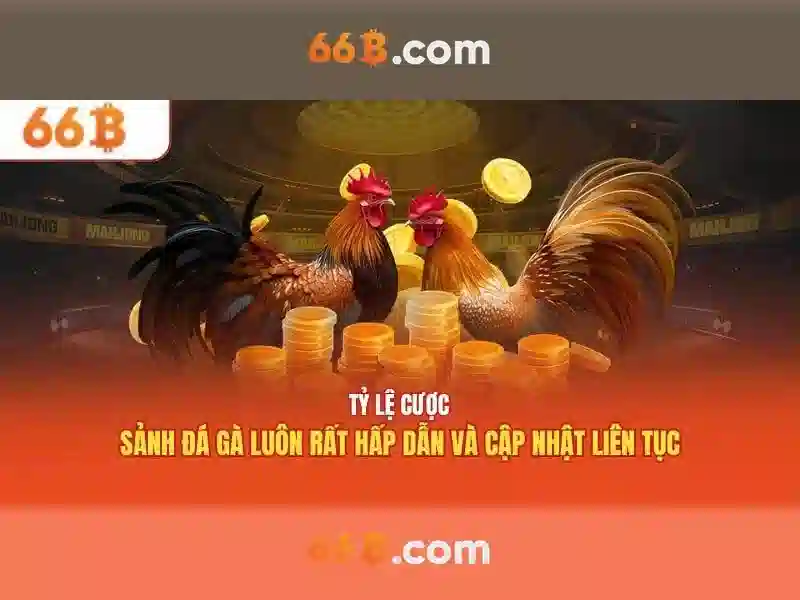 66b: một khái niệm và ứng dụng