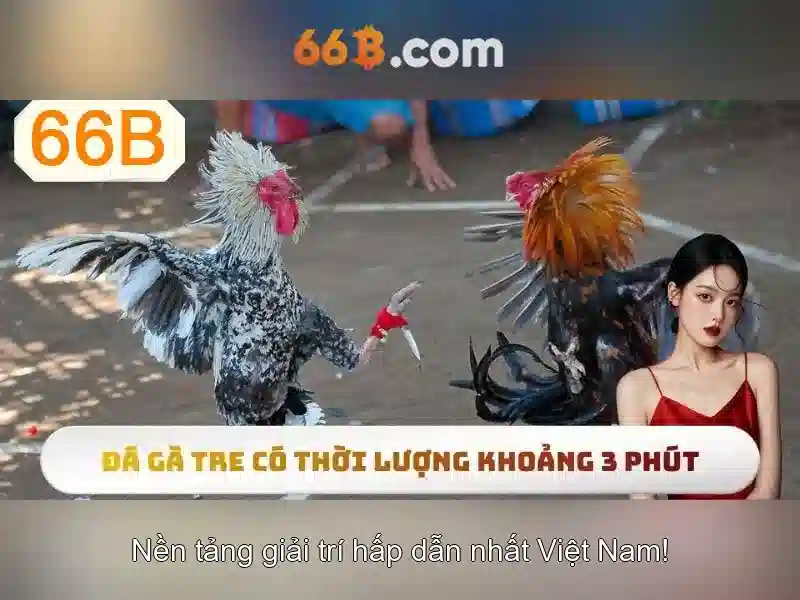 Hiệu suất và ứng dụng