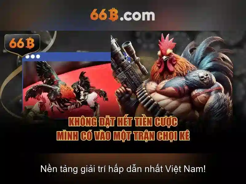 Giới thiệu về 66B