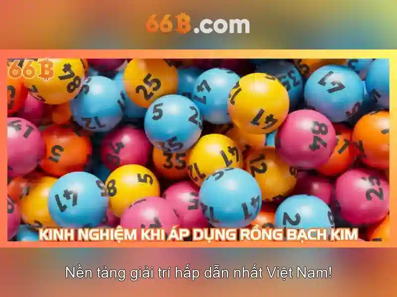 66B là gì?