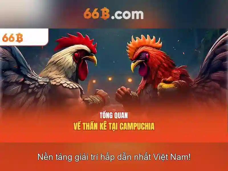 66b nguyễn sỹ sách p15 quận tân bình là gì – tổng quan chủ đề và giá trị cốt lõi