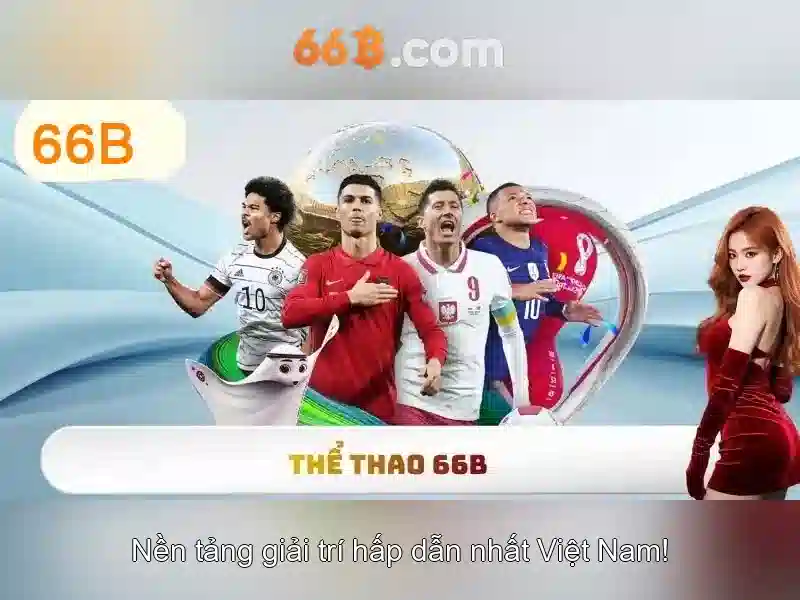 Đặc điểm nổi bật của 66B