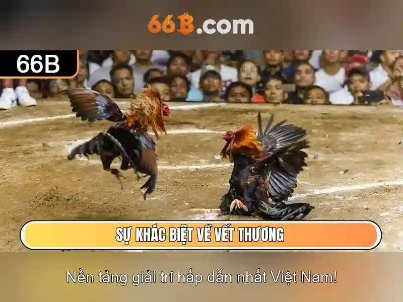 Ứng dụng tiềm năng