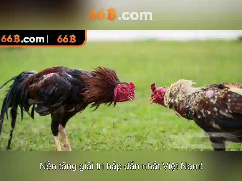 Khám phá ứng dụng của 66b