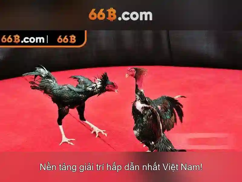 66B: Mô hình ngôn ngữ quy mô lớn và tương lai của AI