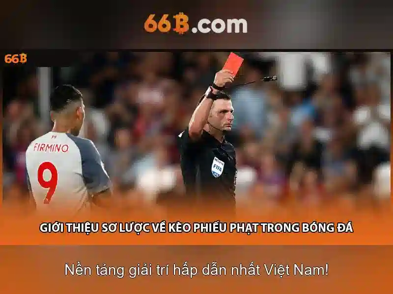 66b trong công nghệ: khái niệm, lịch sử và ứng dụng
