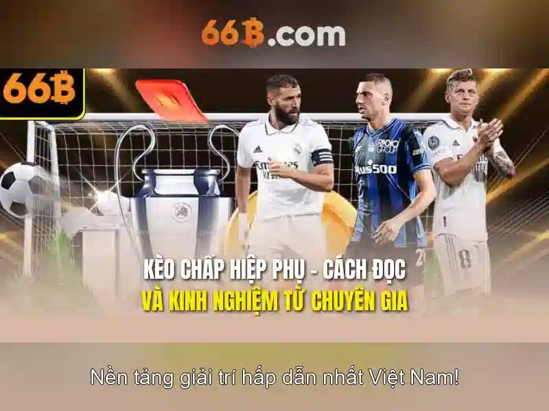 66B là gì?
