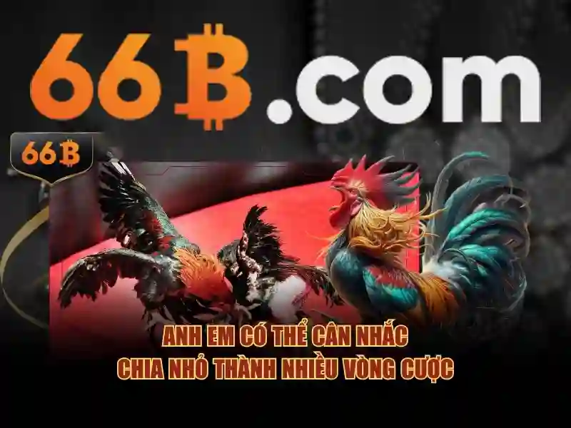 66b: mô hình ngôn ngữ quy mô lớn và tác động của nó