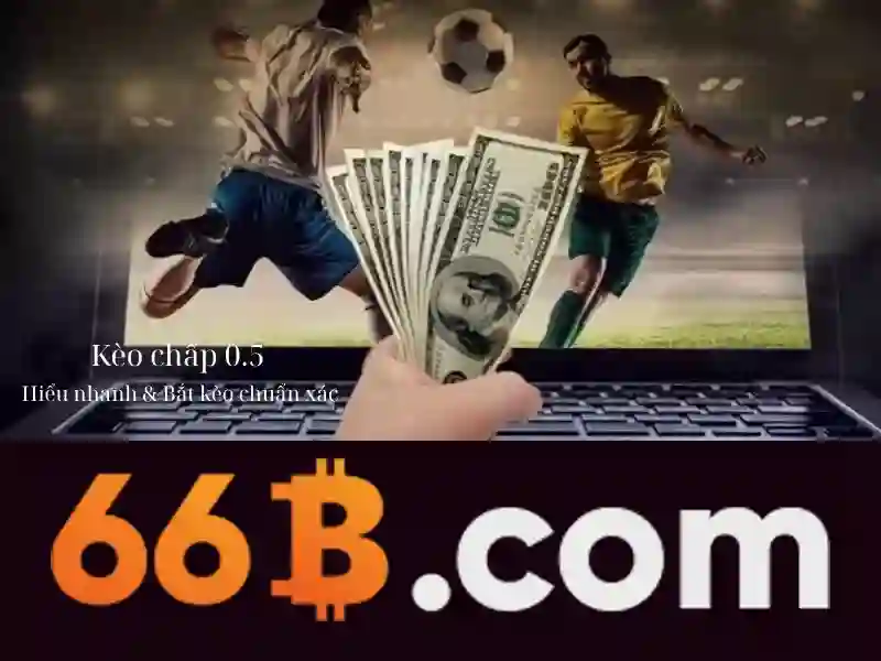 Đặc điểm nổi bật của 66b
