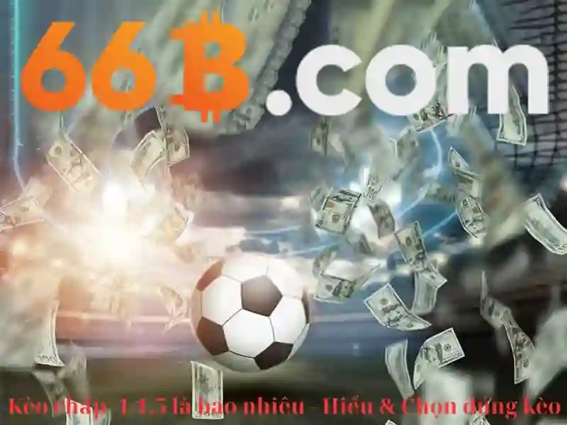 Kích thước và cấu trúc của 66B