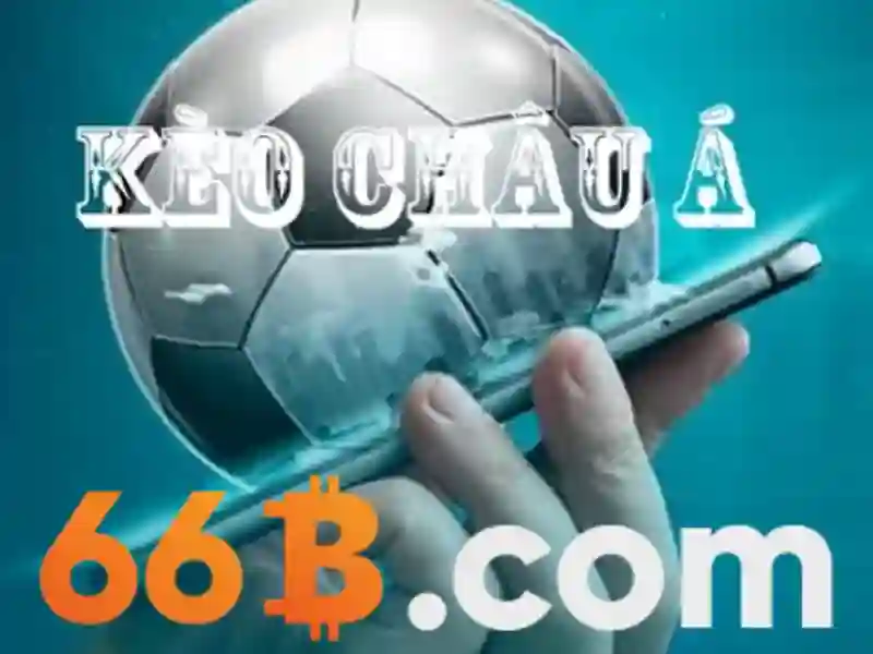 66b chính thức – Trải nghiệm người dùng và phản hồi cộng đồng