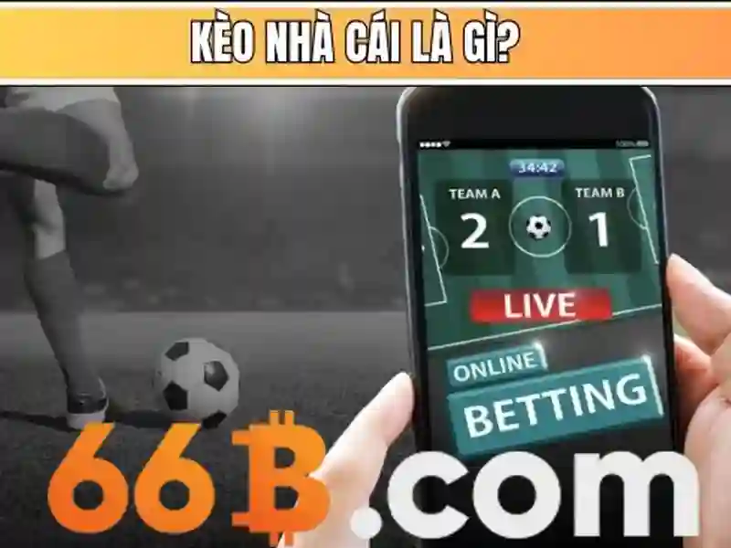 66B: Tìm hiểu về 66B và vai trò trong công nghệ
