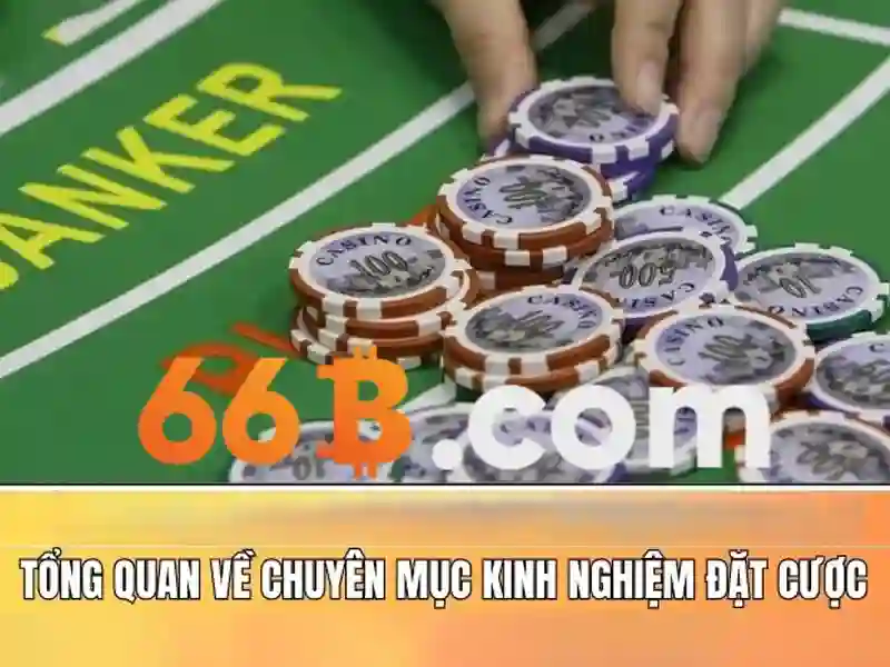 66b là gì và các ứng dụng trong công nghệ hiện đại