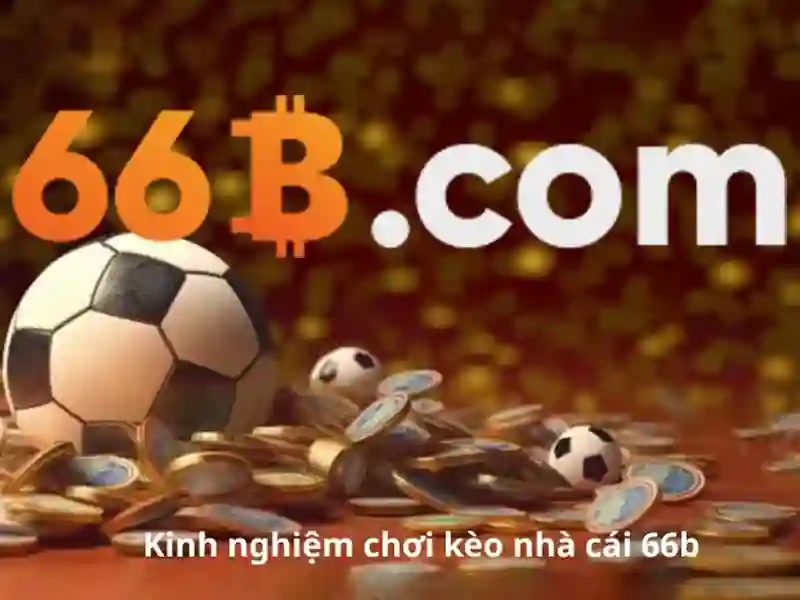 Khái niệm về 66B