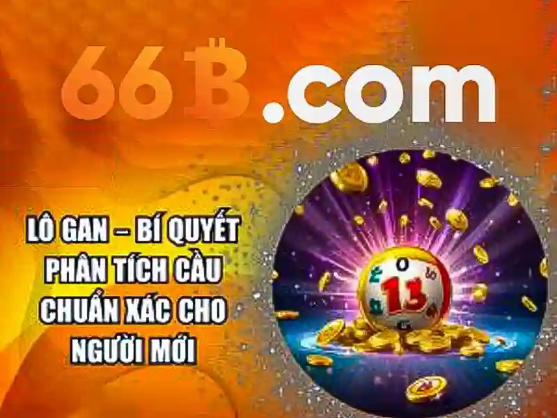 'liên hệ 66b – Trải nghiệm người dùng và phản hồi'