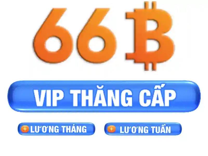 'liên hệ 66b – Nơi chạm vào sự chăm sóc'