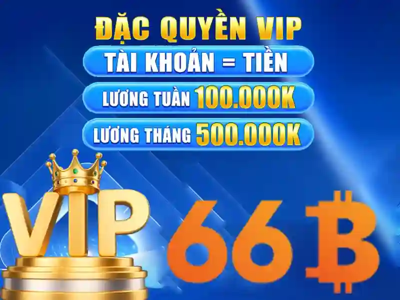 Chế độ chăm sóc và cảm nhận tự tin với 66B